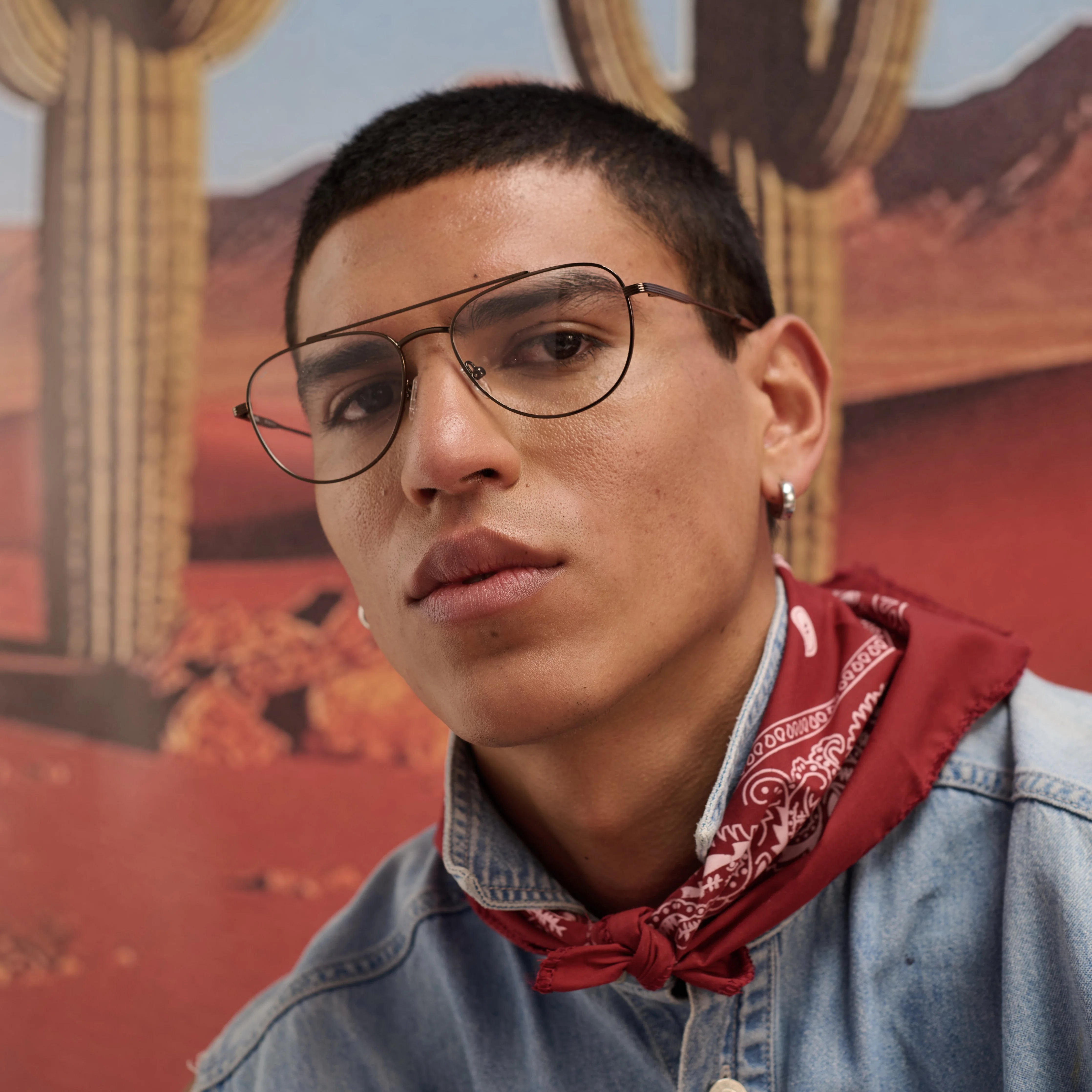 Bandit Dark Brown Formuladas