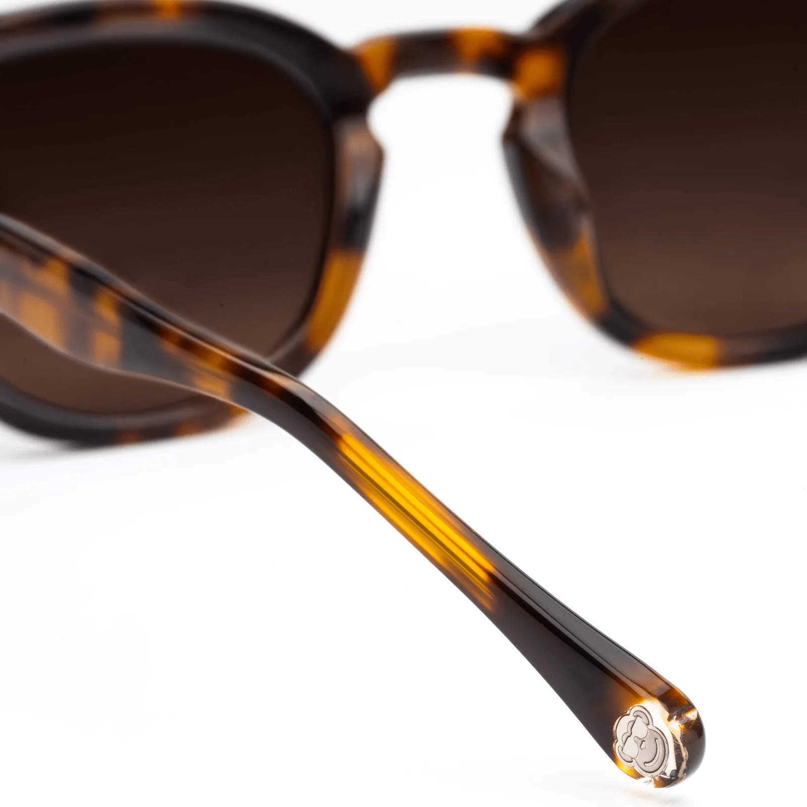 Bellucci Midbrown 2 - Sajú Colombia