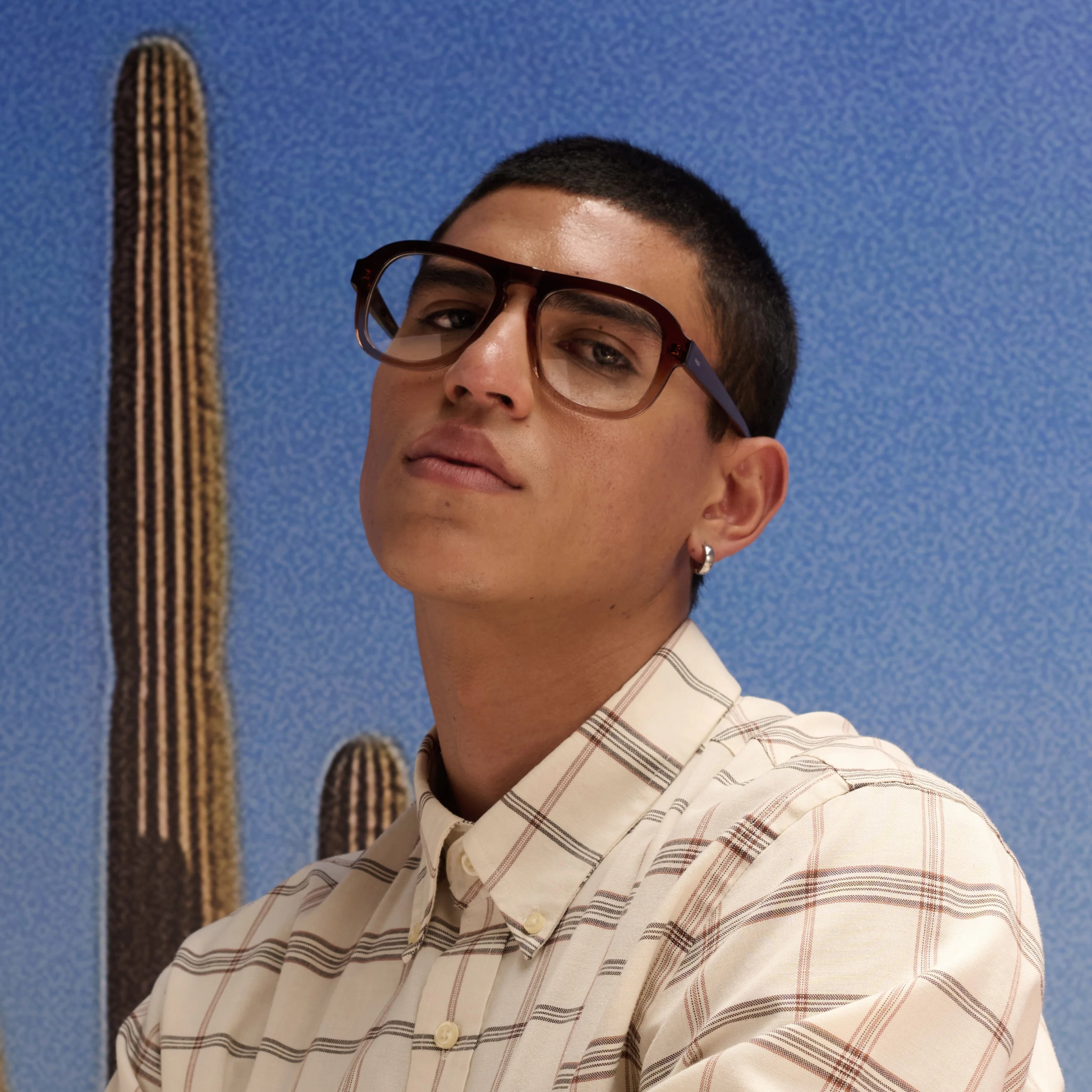 Bounty Gradient Brown Formuladas